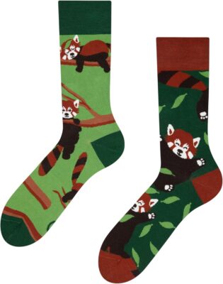 Dedoles Calzini Unisex Cotone con Design Divertenti - Offerta Amazon